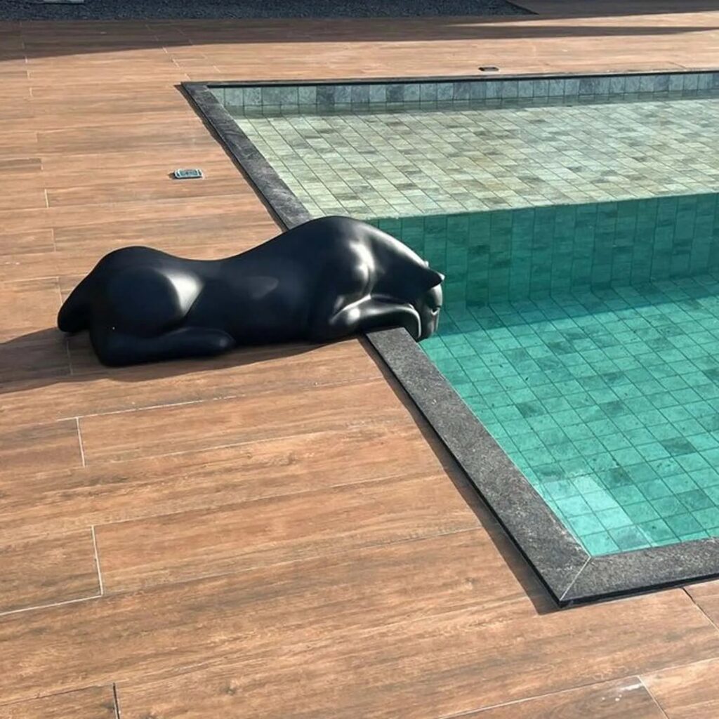 Dando vida à decoração externa: explore suas opções